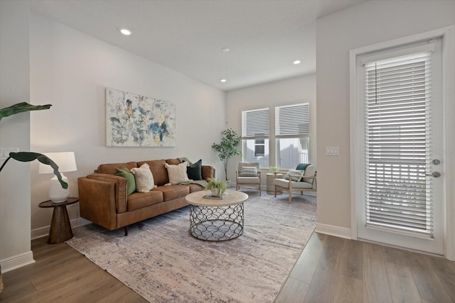 living room featuring hardwood / wood-style floors