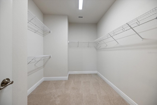 spacious closet featuring carpet