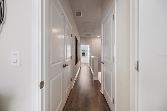 hall featuring dark wood-type flooring