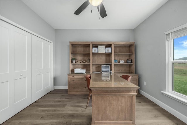 home office featuring ceiling fan and dark hardwood / wood-style flooring