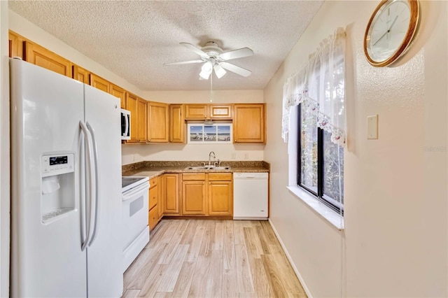 kitchen with ceiling fan, white appliances, light wood-type flooring, a textured ceiling, and sink