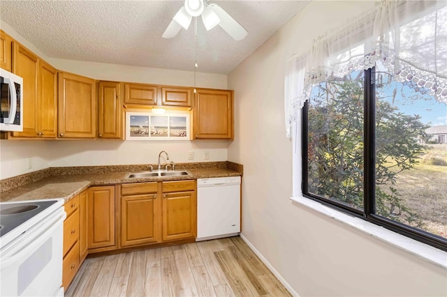 kitchen featuring light hardwood / wood-style floors, sink, white appliances, and a textured ceiling