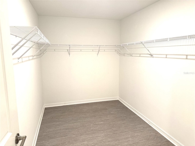 spacious closet featuring dark wood-type flooring