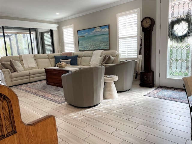 living room with a wealth of natural light, a wood stove, and ornamental molding