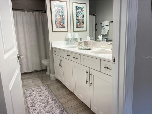 bathroom with toilet and vanity