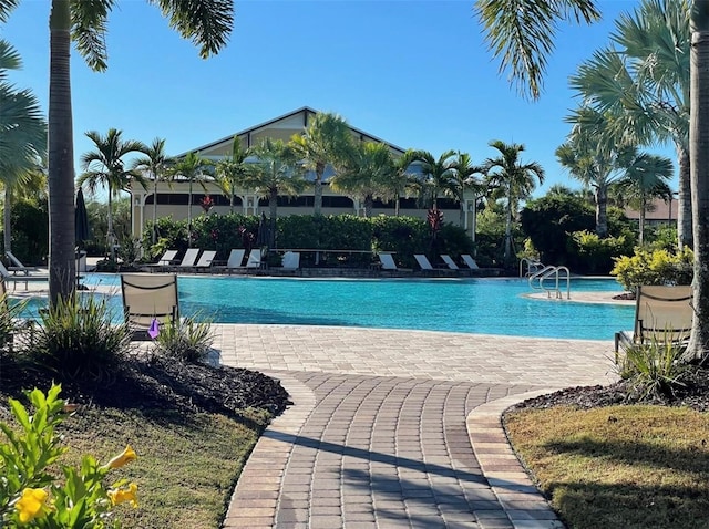 view of pool with a patio area