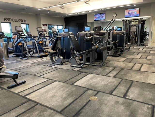 exercise room with a healthy amount of sunlight