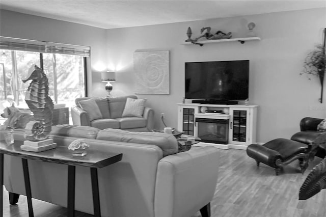 living room featuring hardwood / wood-style floors