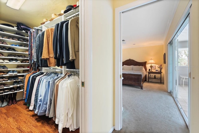 7056 Hawks Harbor Cir, Bradenton, FL 34207 - spacious closet with carpet floors