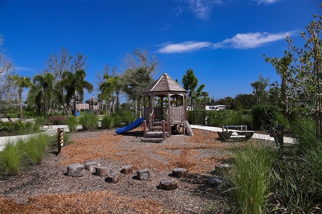 view of jungle gym