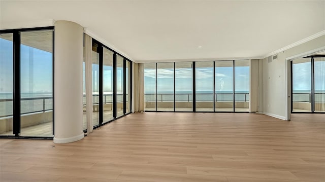 empty room featuring light hardwood / wood-style floors, a wealth of natural light, and expansive windows