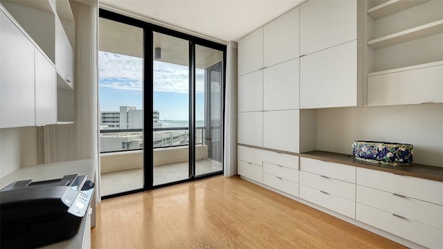 interior space with light hardwood / wood-style flooring