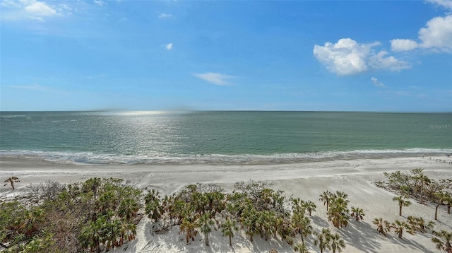 property view of water with a view of the beach