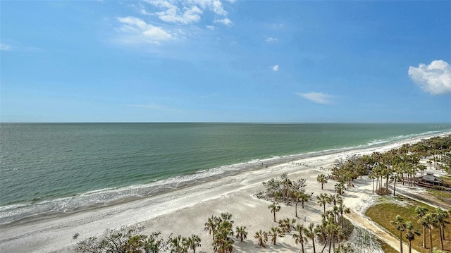 water view featuring a beach view