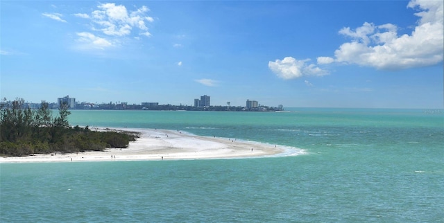 water view featuring a beach view