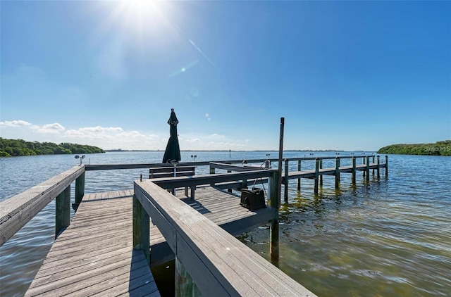 dock area with a water view