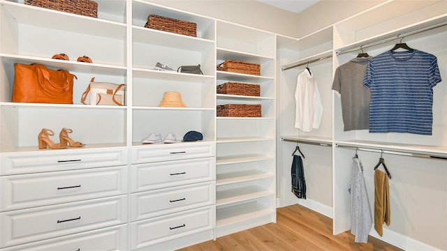 spacious closet with light hardwood / wood-style flooring