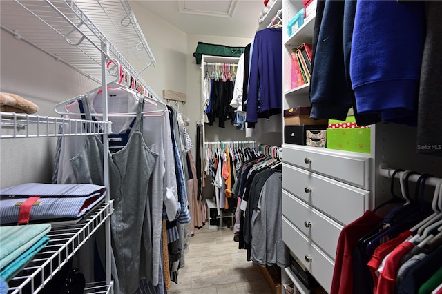 walk in closet featuring light hardwood / wood-style floors