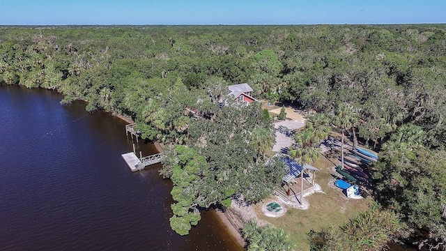 bird's eye view featuring a view of trees and a water view