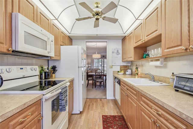 kitchen with sink, white appliances, ceiling fan, light hardwood / wood-style floors, and backsplash