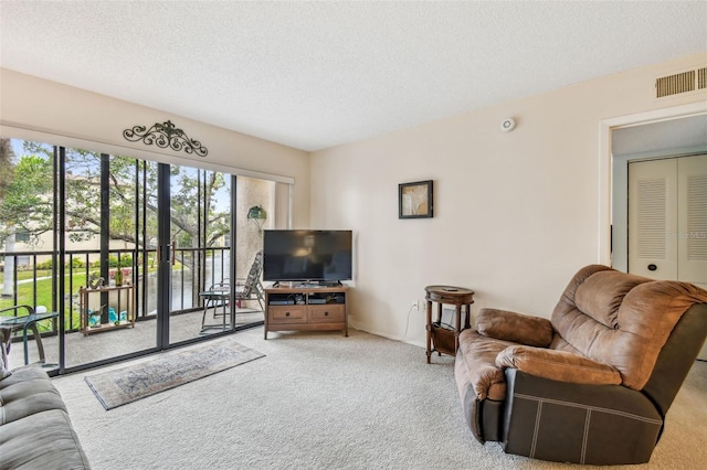 living room featuring carpet and a textured ceiling