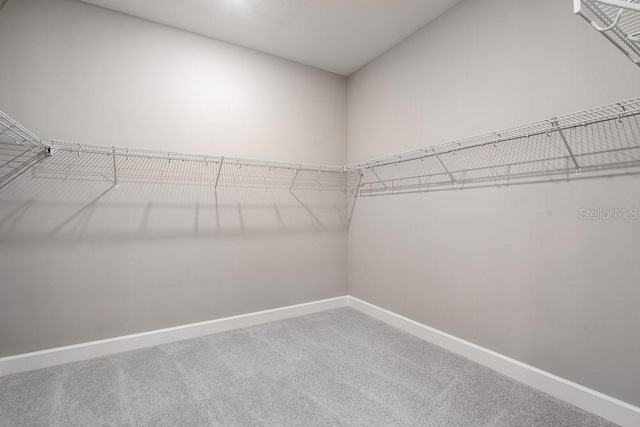8024 Moonbeam Ave, Sarasota, FL 34241 - spacious closet with carpet