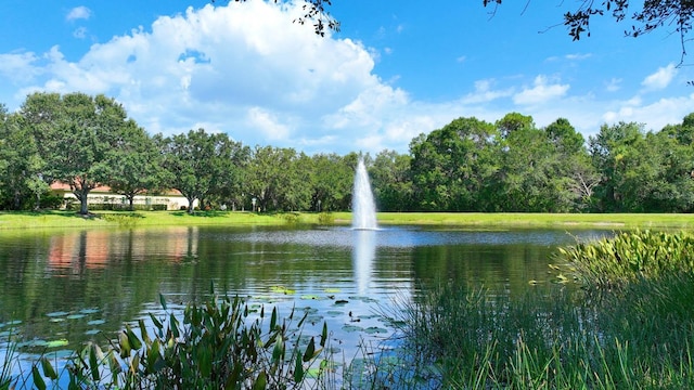 property view of water