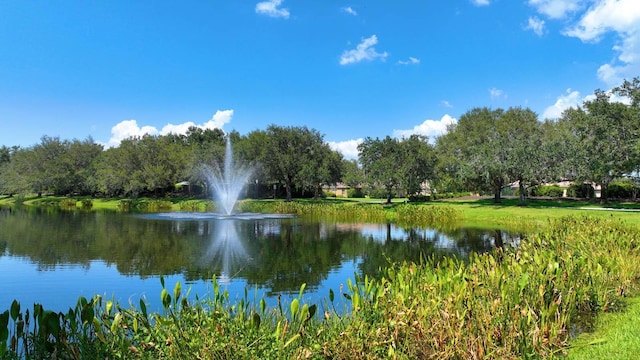 view of water feature