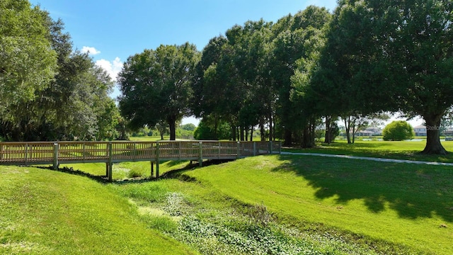 view of community with a lawn