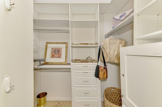 view of spacious closet