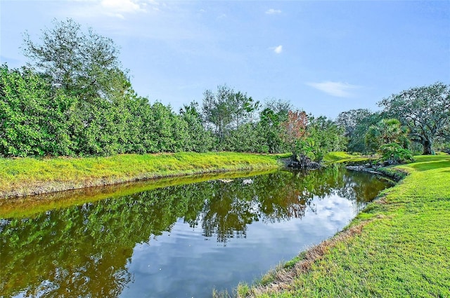 view of water feature