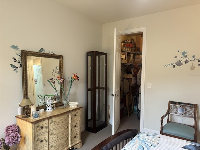 bedroom featuring a spacious closet