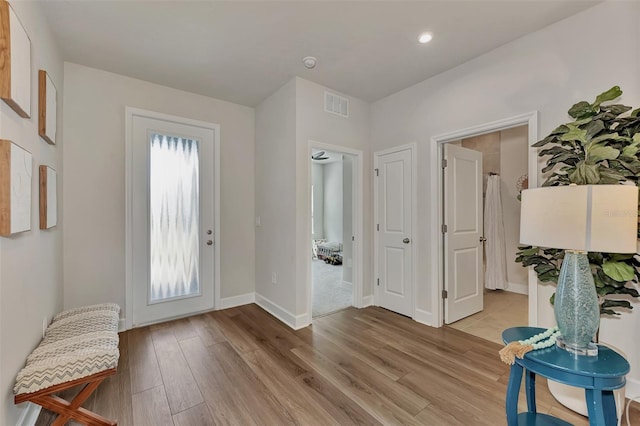 entryway featuring plenty of natural light and light hardwood / wood-style floors