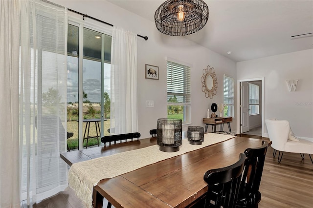 dining space with a healthy amount of sunlight and light hardwood / wood-style floors