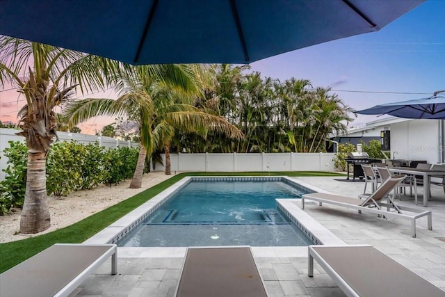 view of pool with a patio