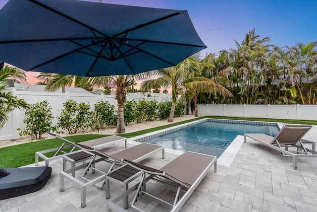 view of pool with a patio