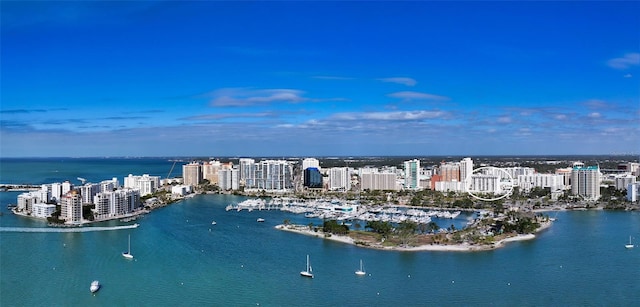 aerial view featuring a water view