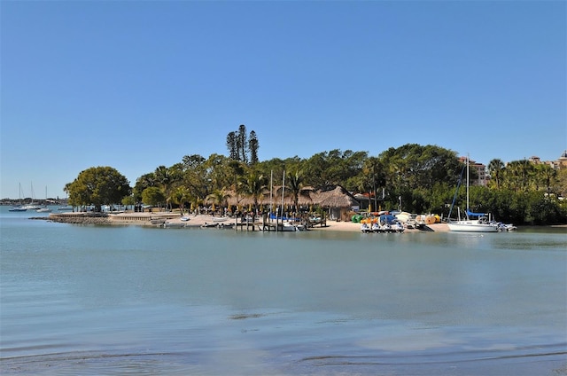 view of water feature