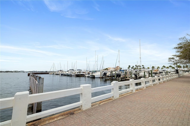 dock area with a water view