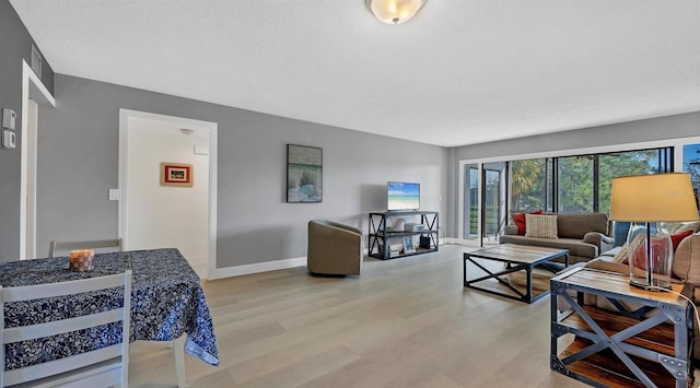 living room featuring light hardwood / wood-style flooring