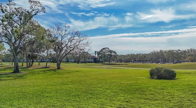 view of community with a lawn