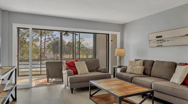 living room featuring a wealth of natural light, a textured ceiling, and hardwood / wood-style floors