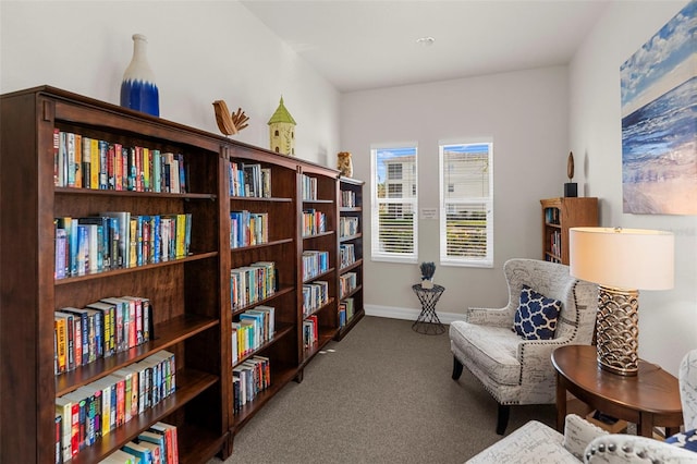 sitting room with carpet