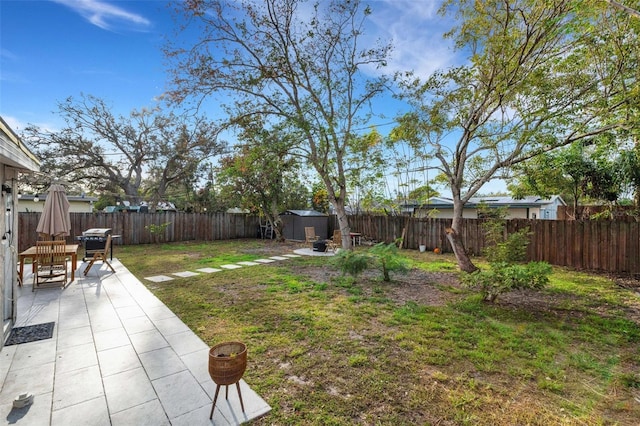 view of yard with a storage shed and a patio