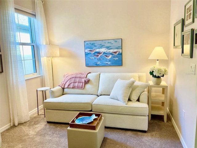 living room with carpet floors