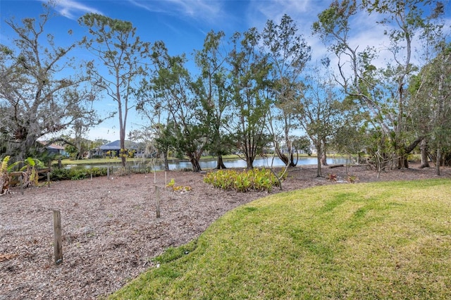 view of yard with a water view