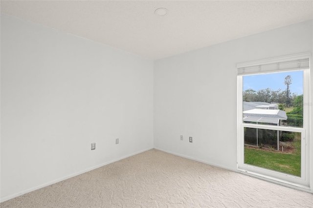 empty room featuring carpet