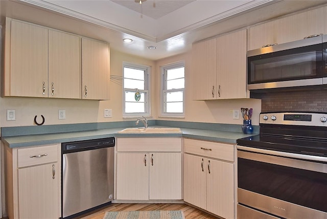 kitchen featuring sink, a raised ceiling, stainless steel appliances, and light hardwood / wood-style flooring