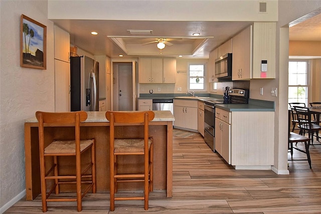 kitchen with stainless steel appliances, sink, cream cabinets, ceiling fan, and a tray ceiling