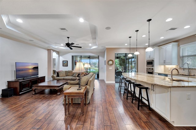 living room with dark hardwood / wood-style floors, a raised ceiling, and sink